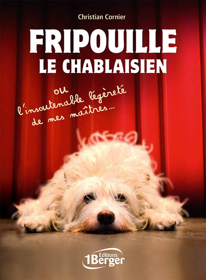 roman fripouille